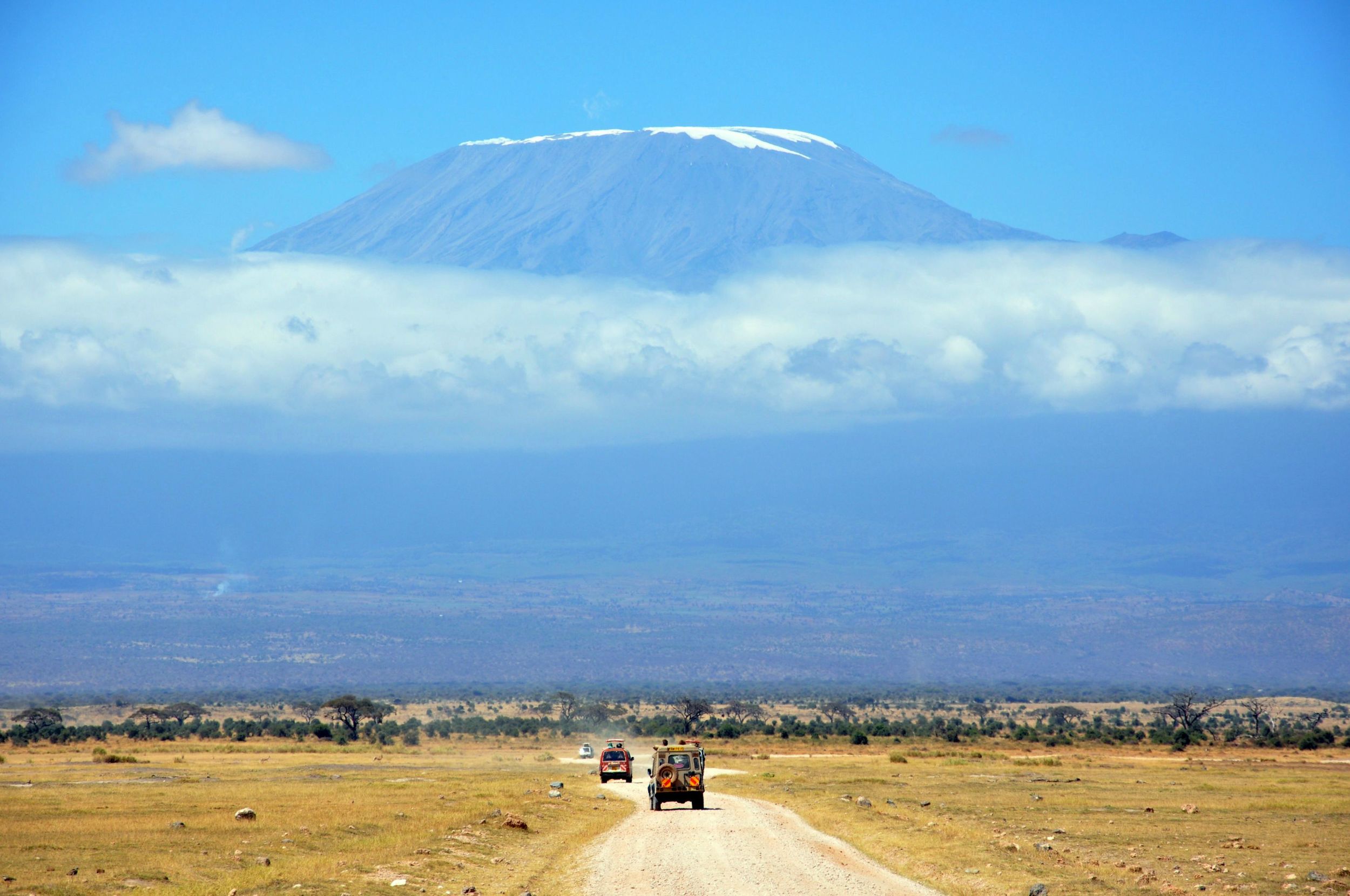 Kenya Wildlife Marathon Interview with ahotu Marathons