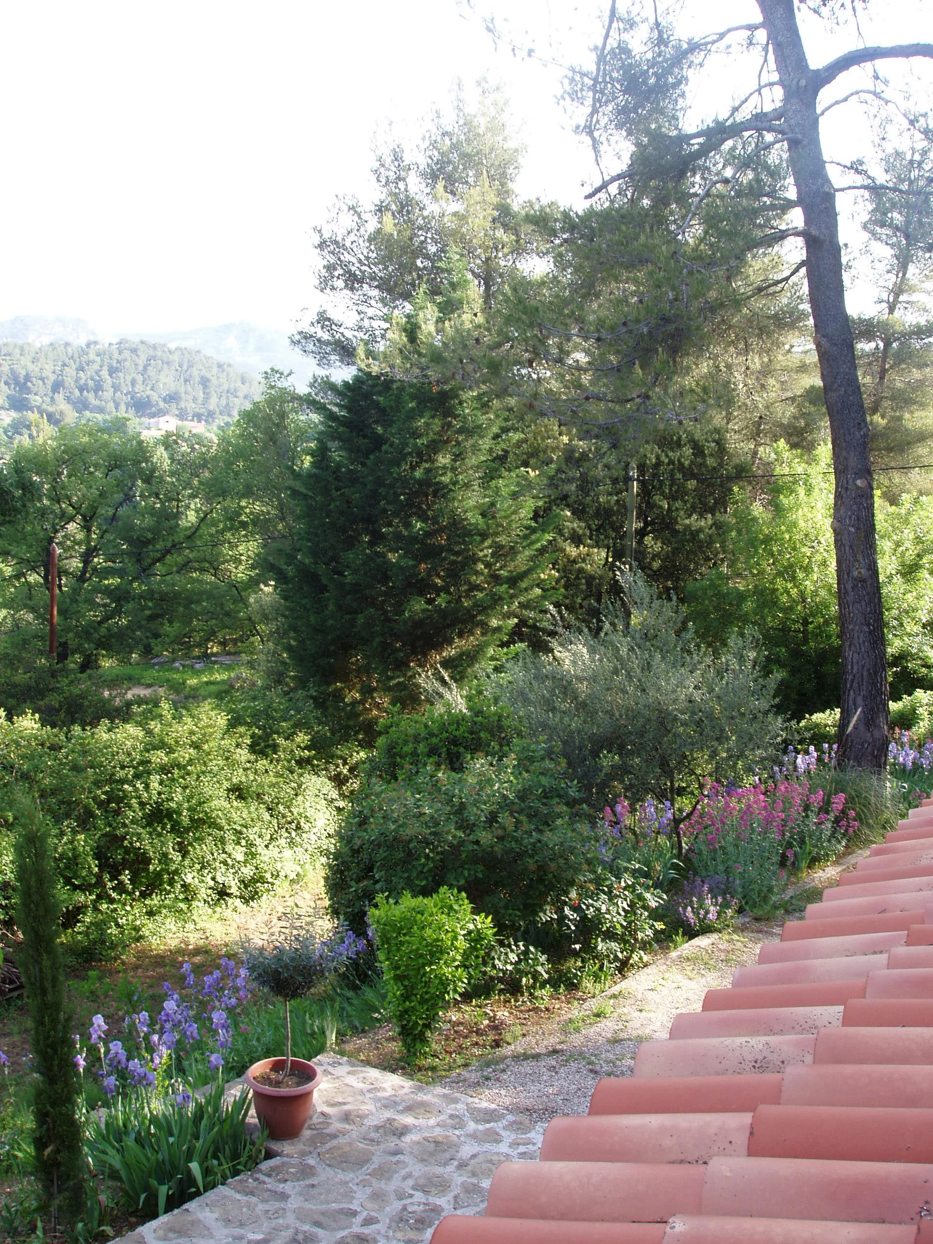 Terrasse fleurie vue du balcon.jpg