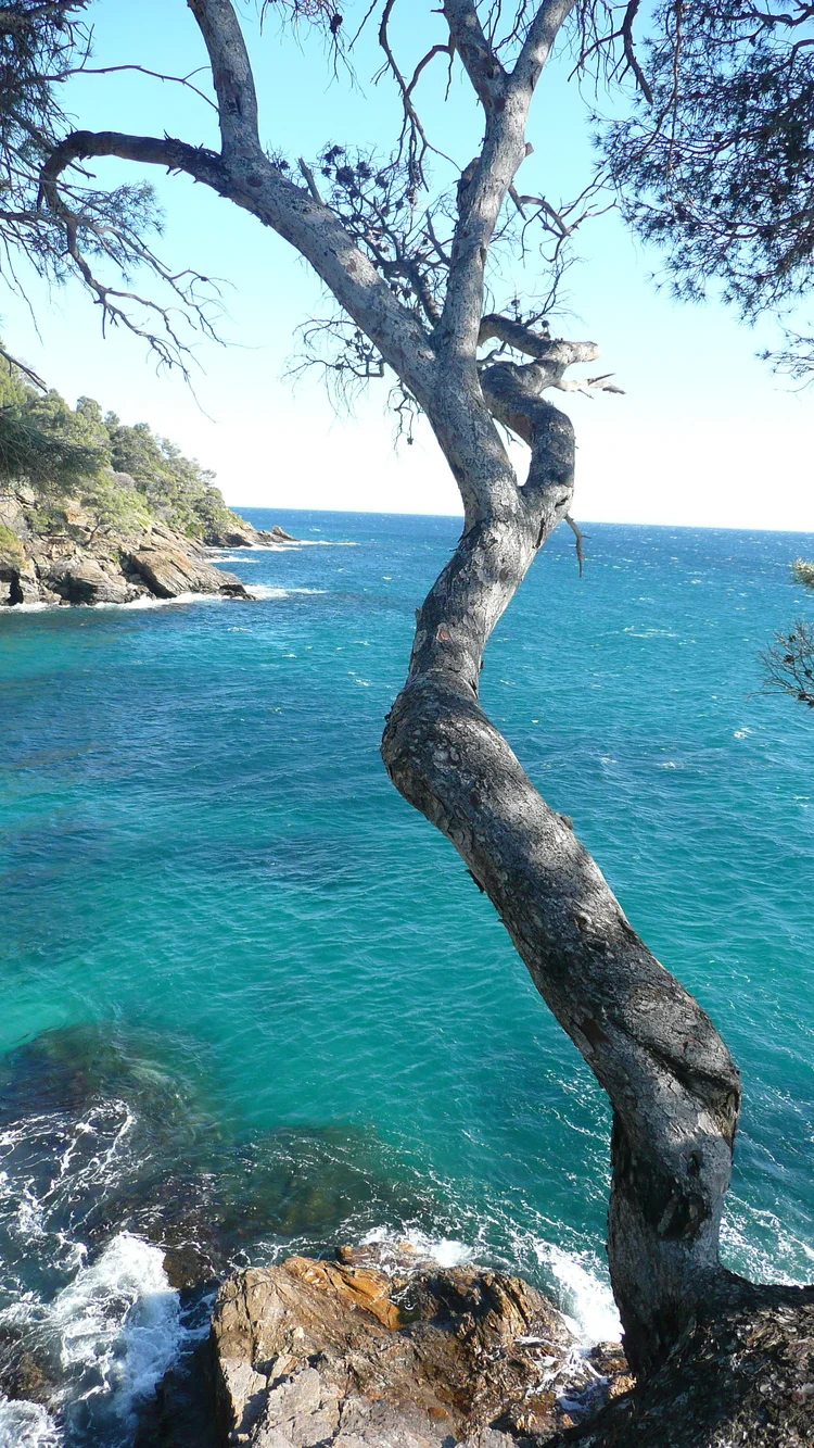 P1020191.JPG