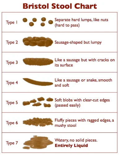 bristol stool chart.jpg