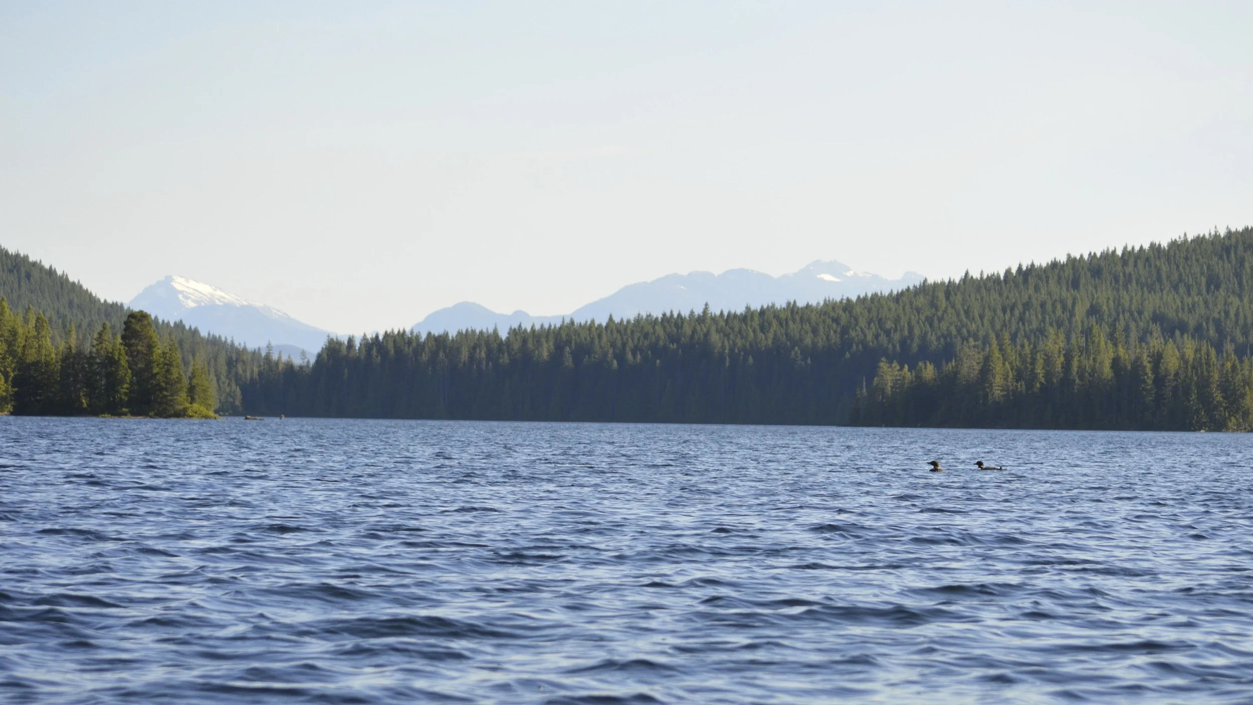 DSC_0084.jpg