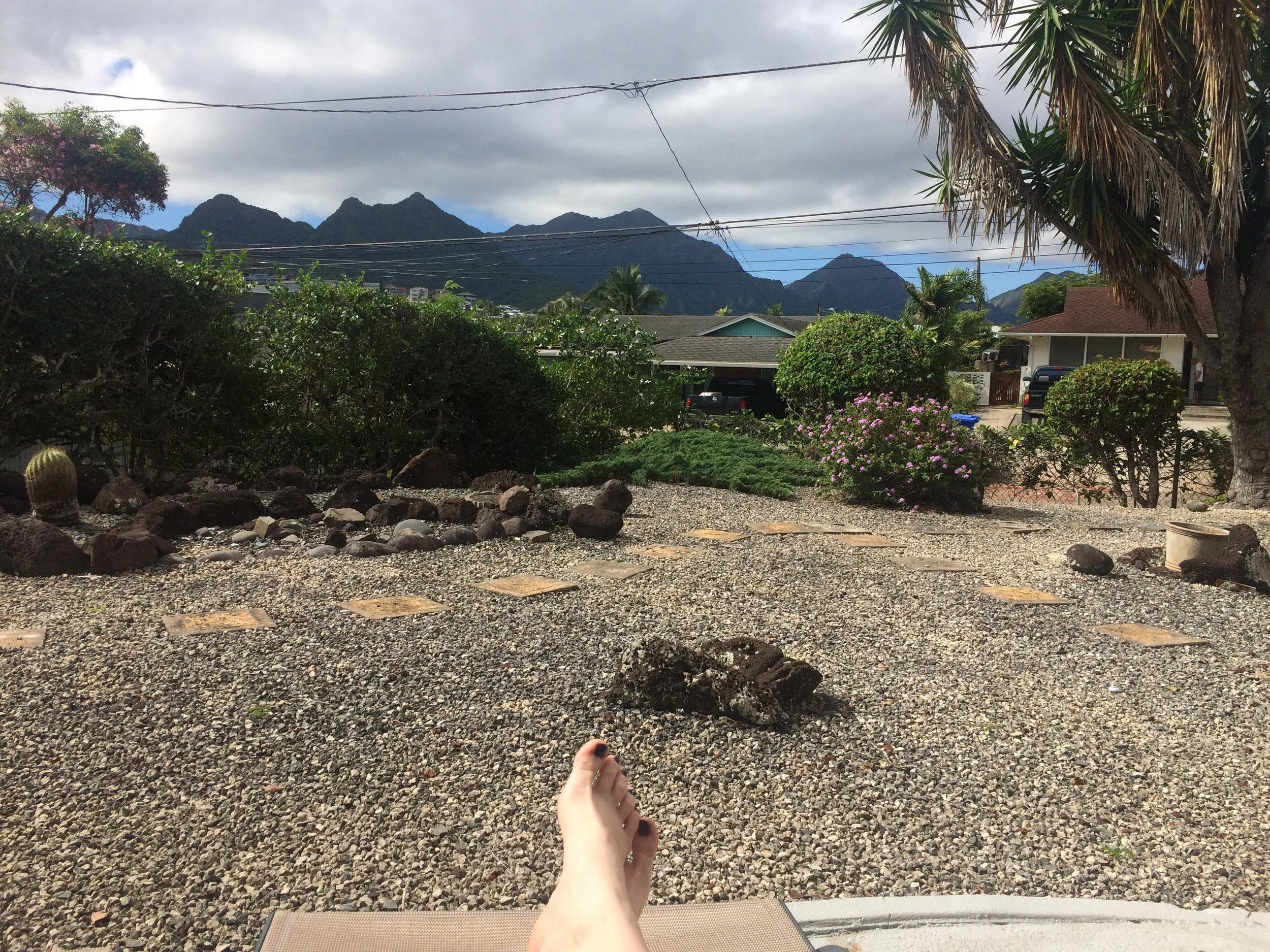 The front yard is just as cool. Flowers to come. 