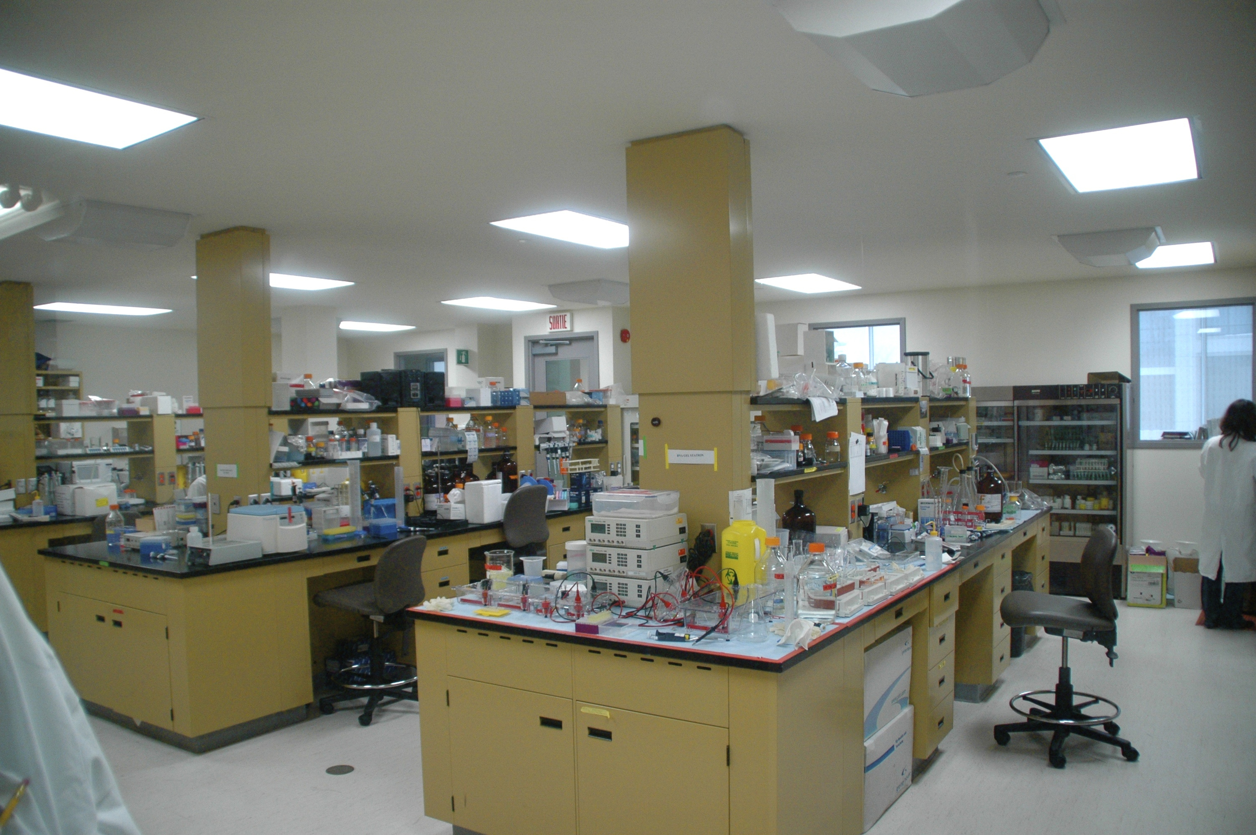 laboratory construction