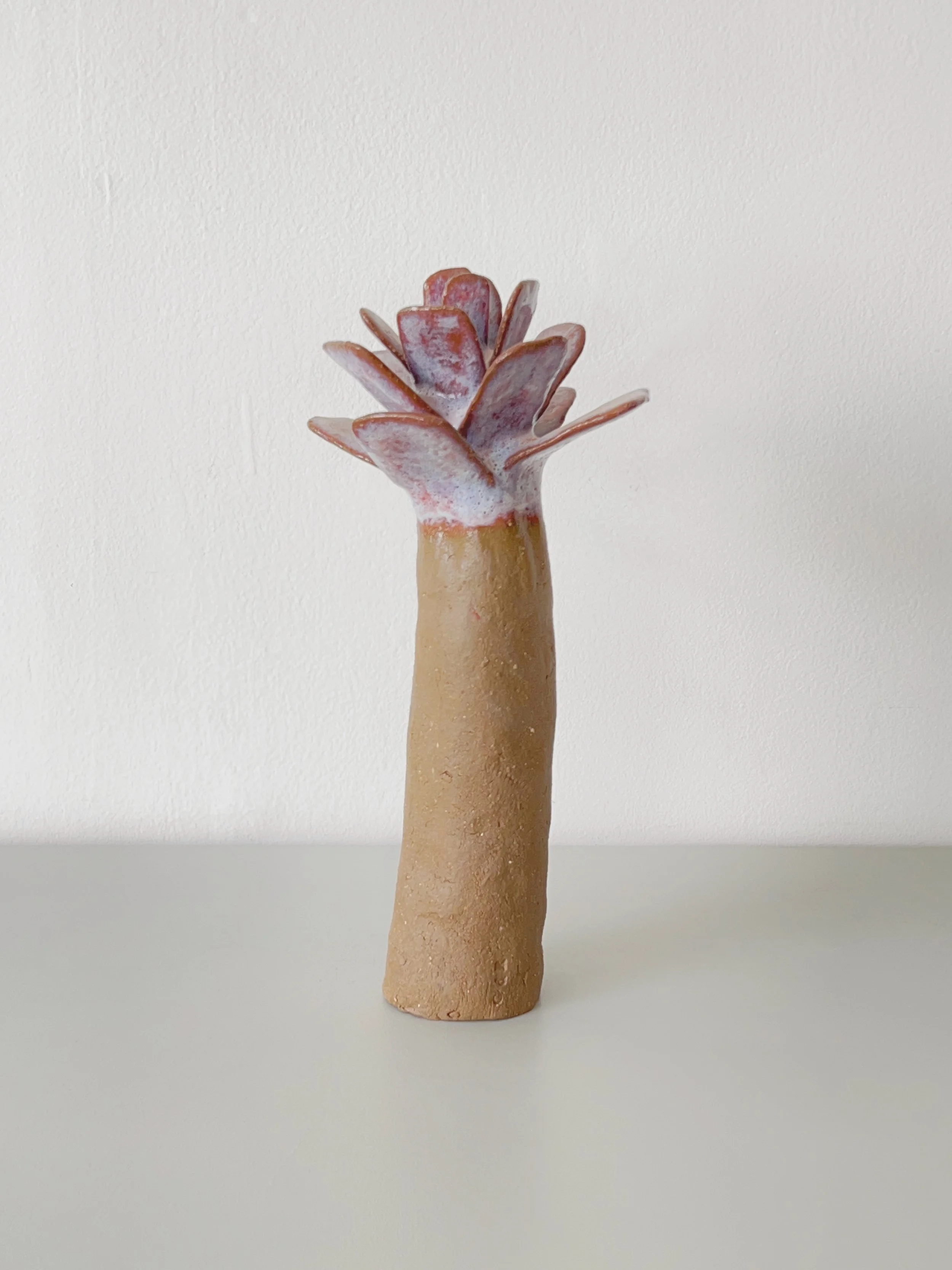 Large Palm Tree — shapiro joyal studio