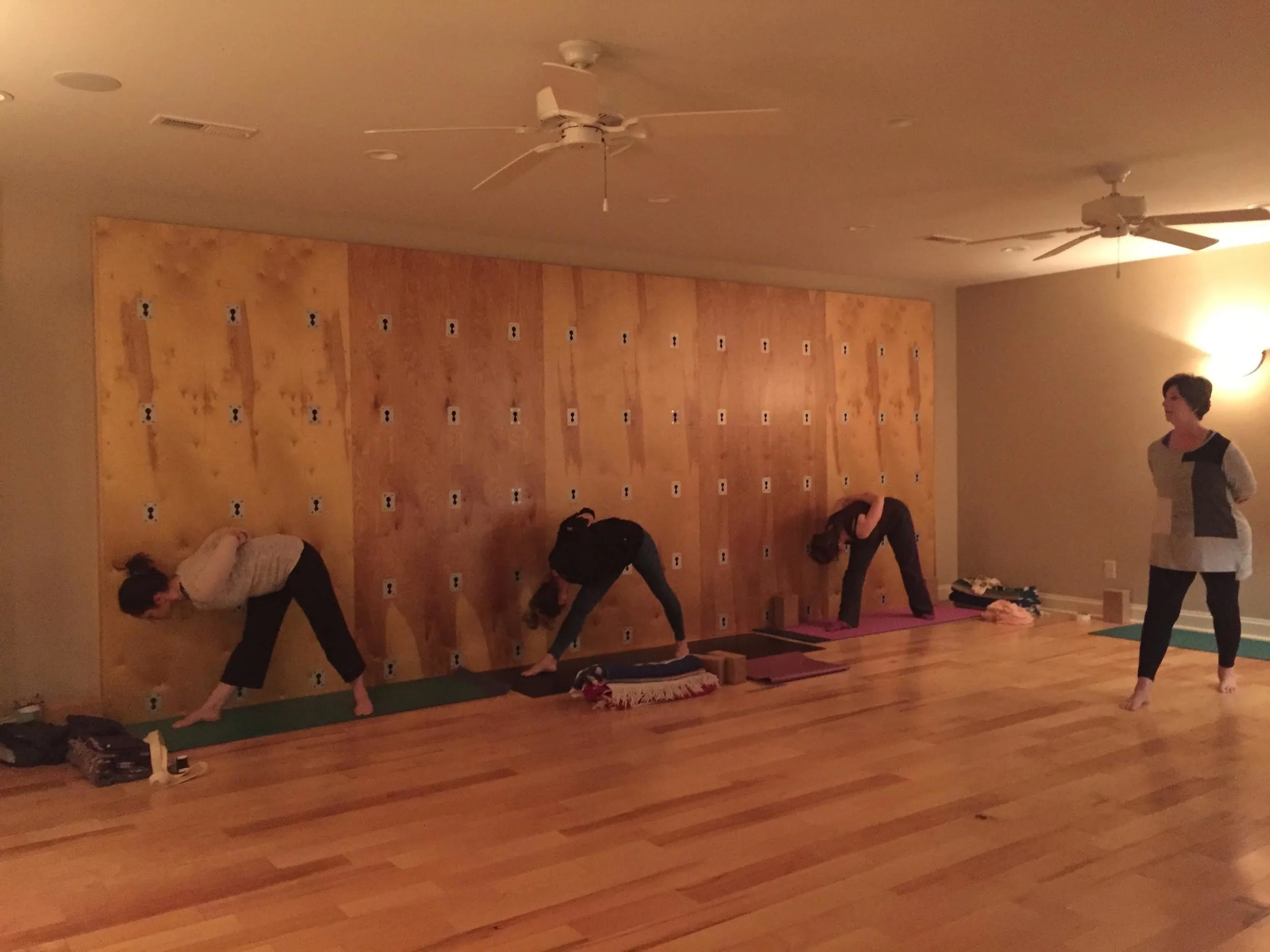 yoga teacher training.jpg
