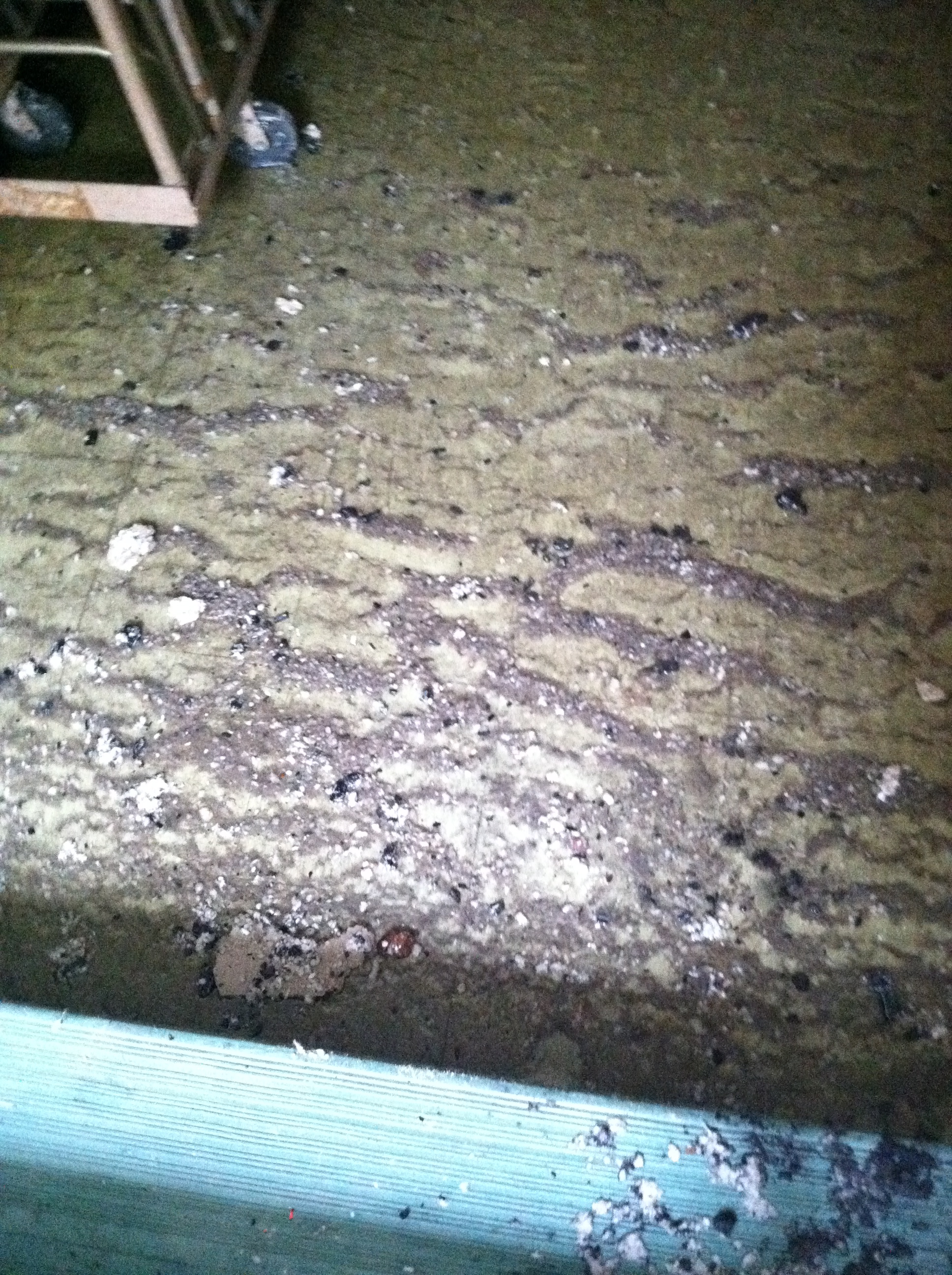 Even the parts of the basement far away from the fire area had smoke and water damage. The back pantry floor in the kitchen was nasty!