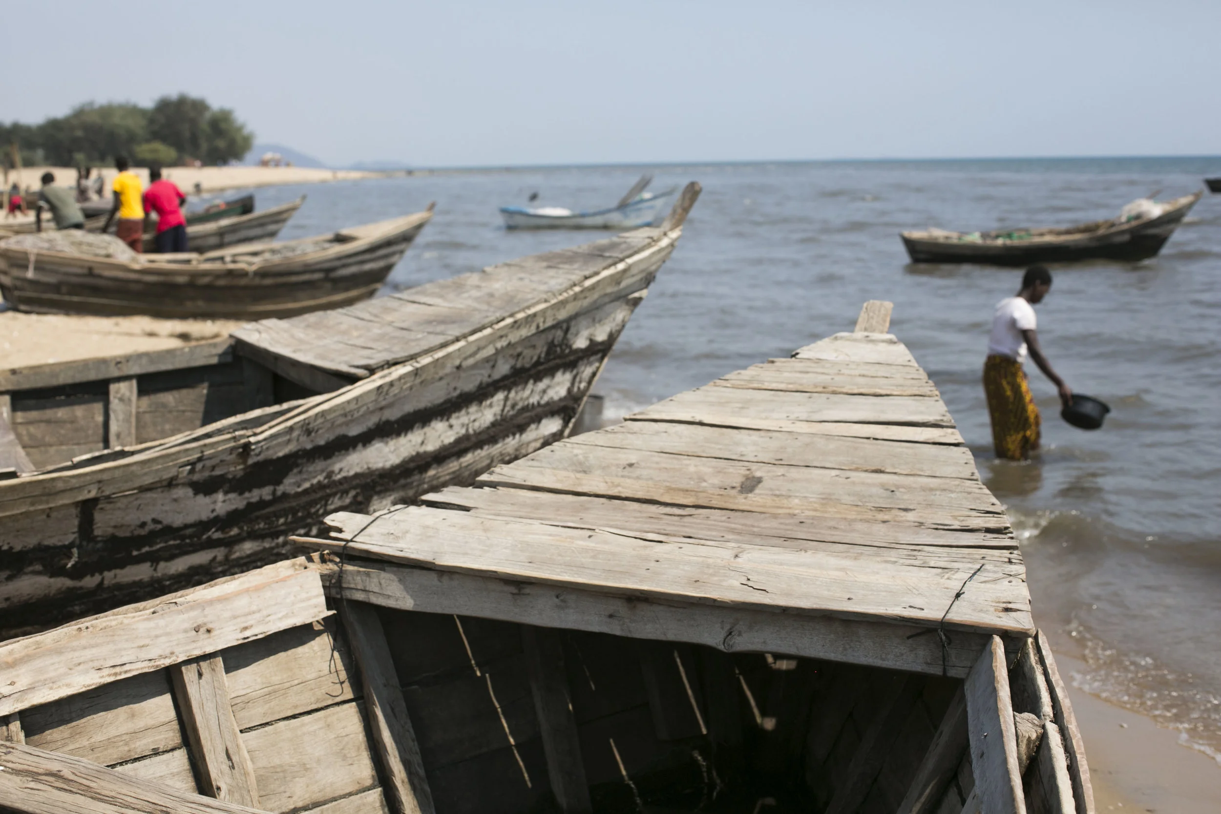 _MG_3846.jpg