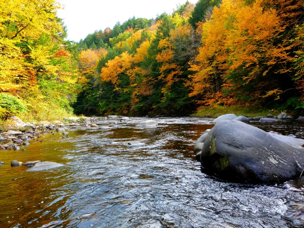 fallriver.JPG