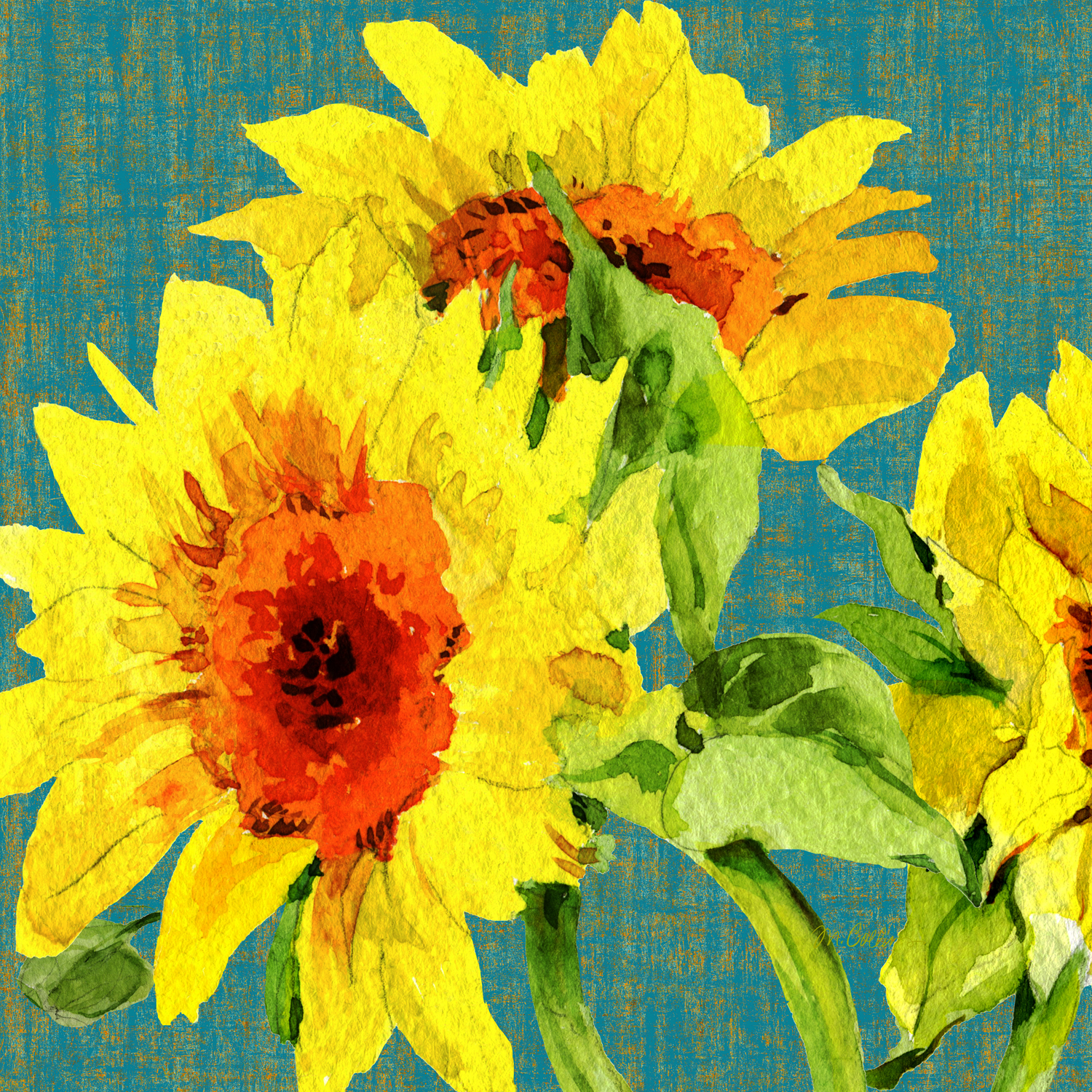 Provence-Sunflowers-.jpg