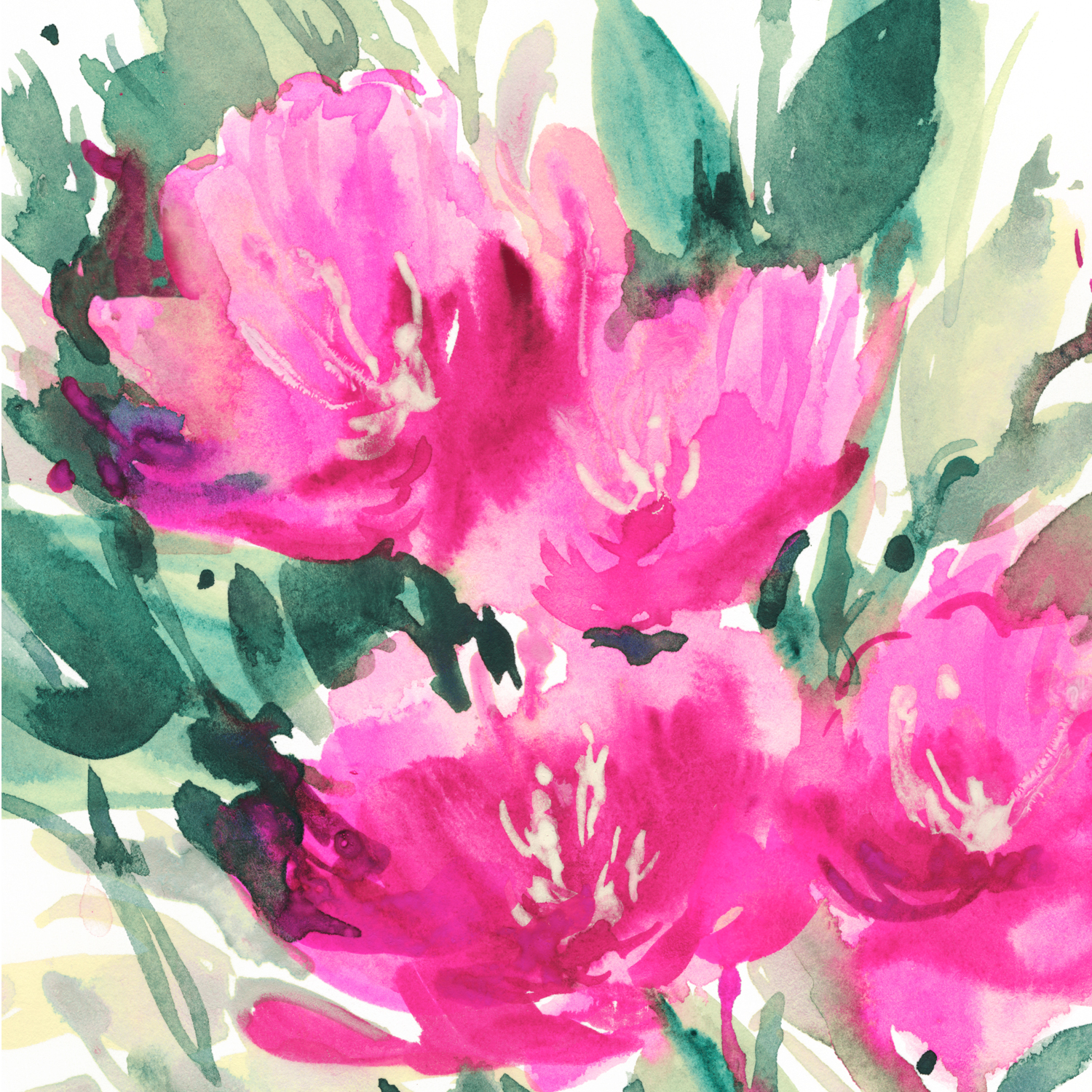 Pink-Tulips.jpg
