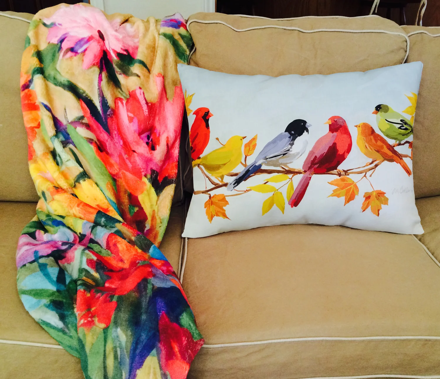 Fleece throw & pillow