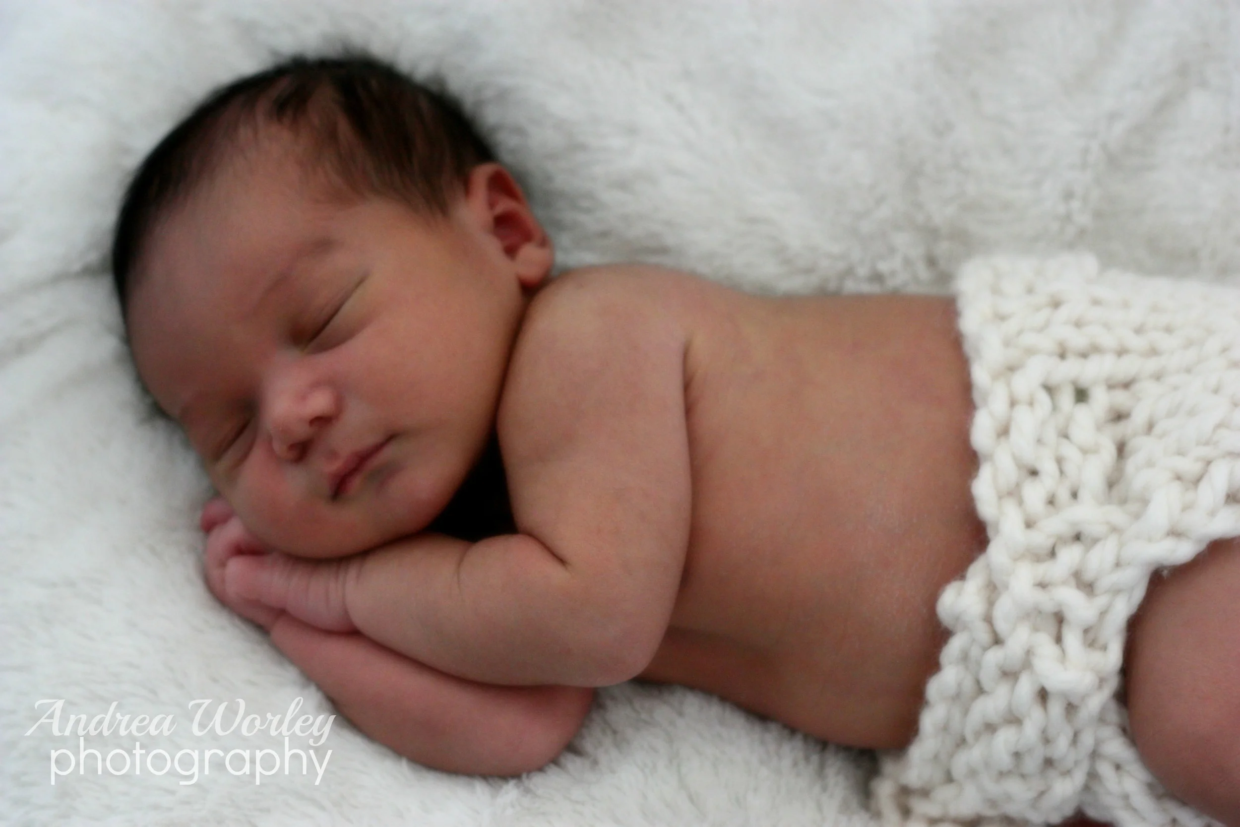zannewborncopyright2.jpg