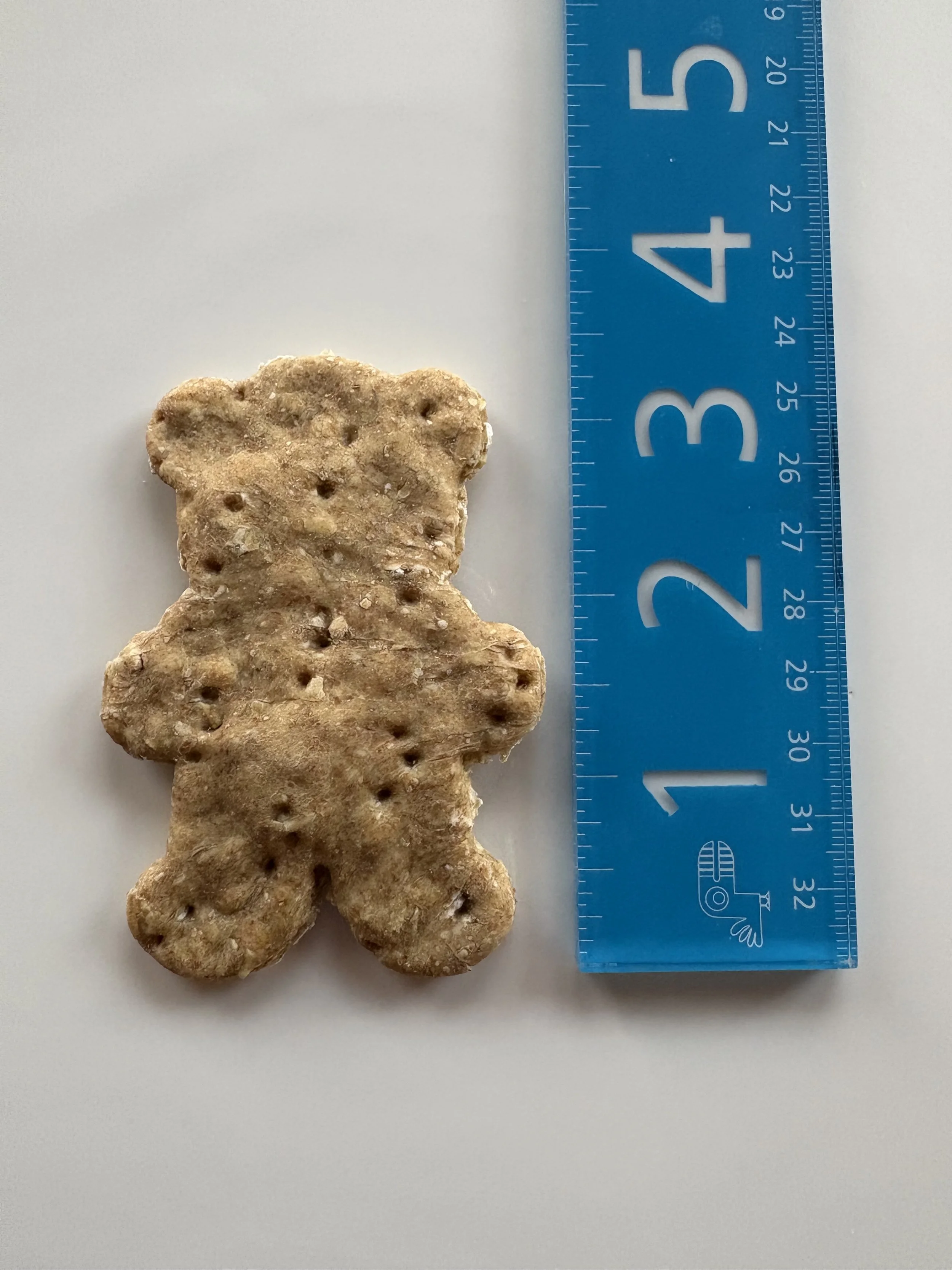 HoneyBearMeasuredVertical.jpg