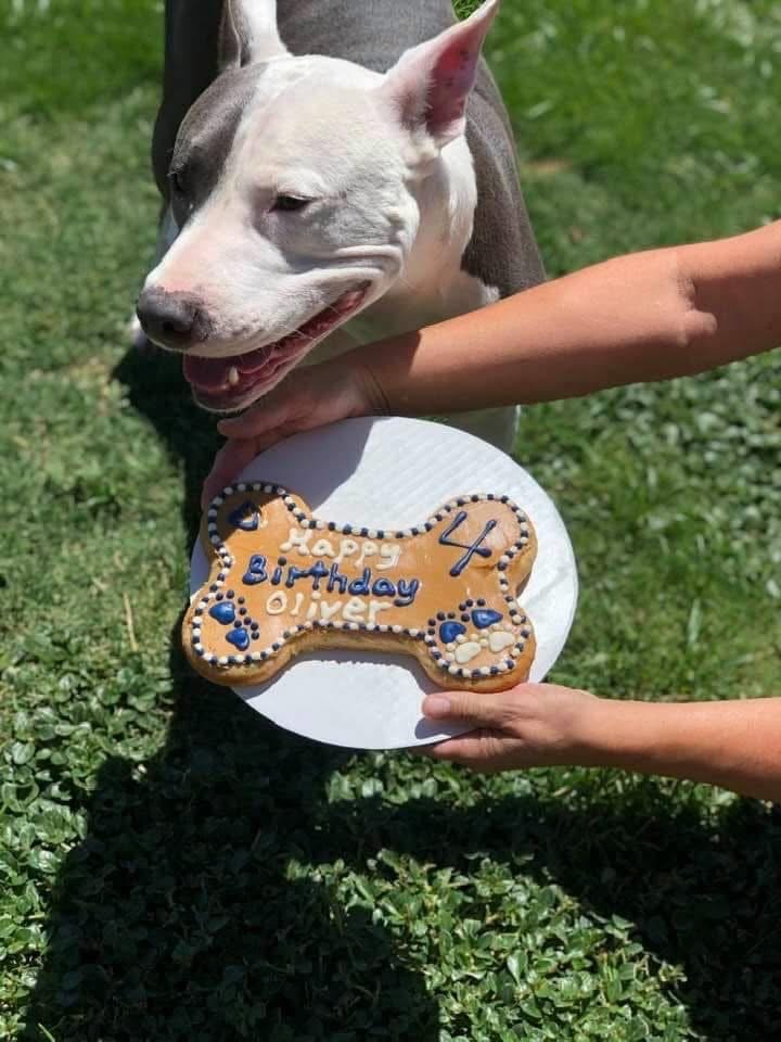CakeOliver4.JPG