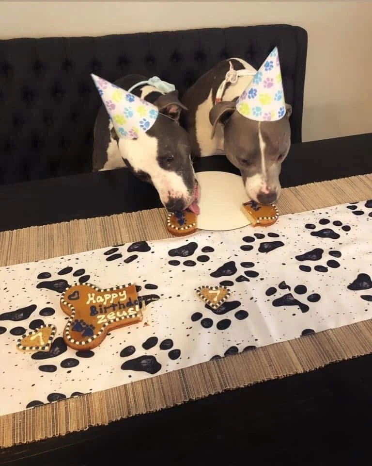 CakeHannahsDogs.JPG