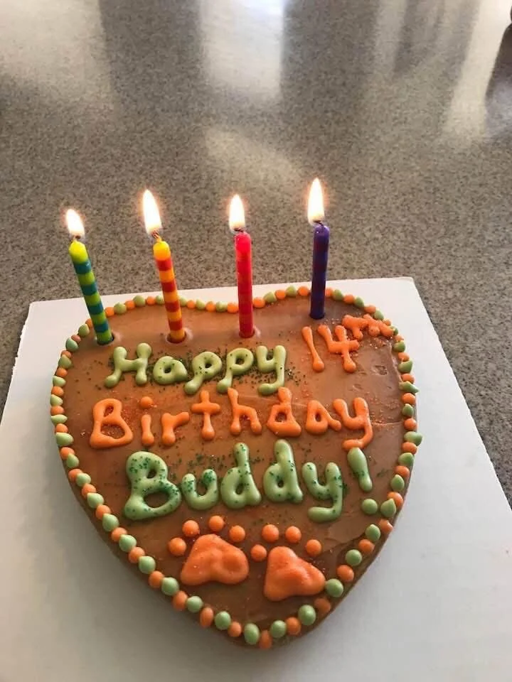 Cake14thBuddy.JPG