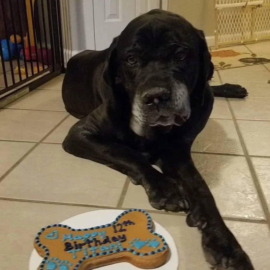 CakeWithTitan12th.JPG