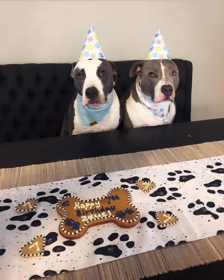 CakeHannahsDogs2.JPG