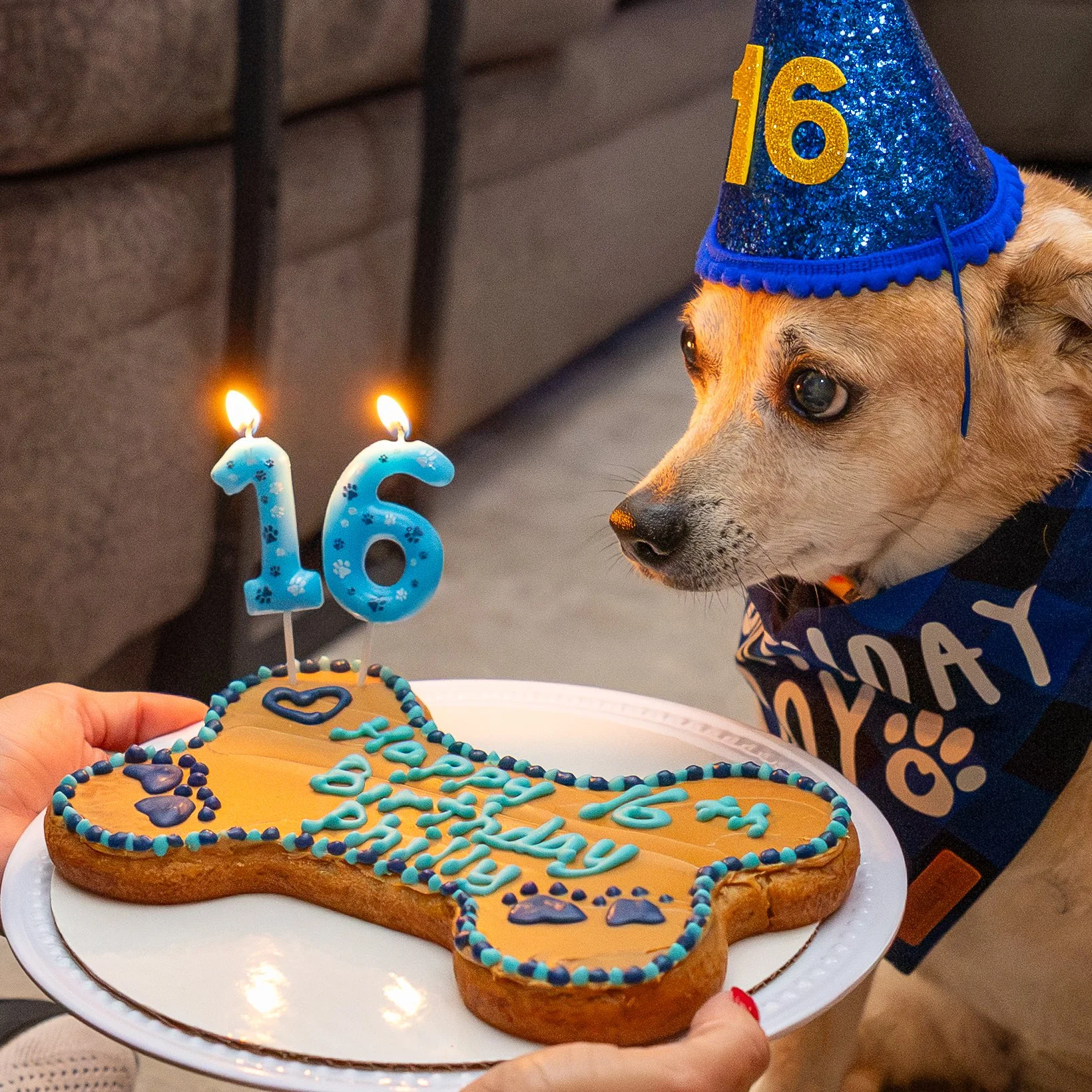 CakePhilly16thBirthday.JPG