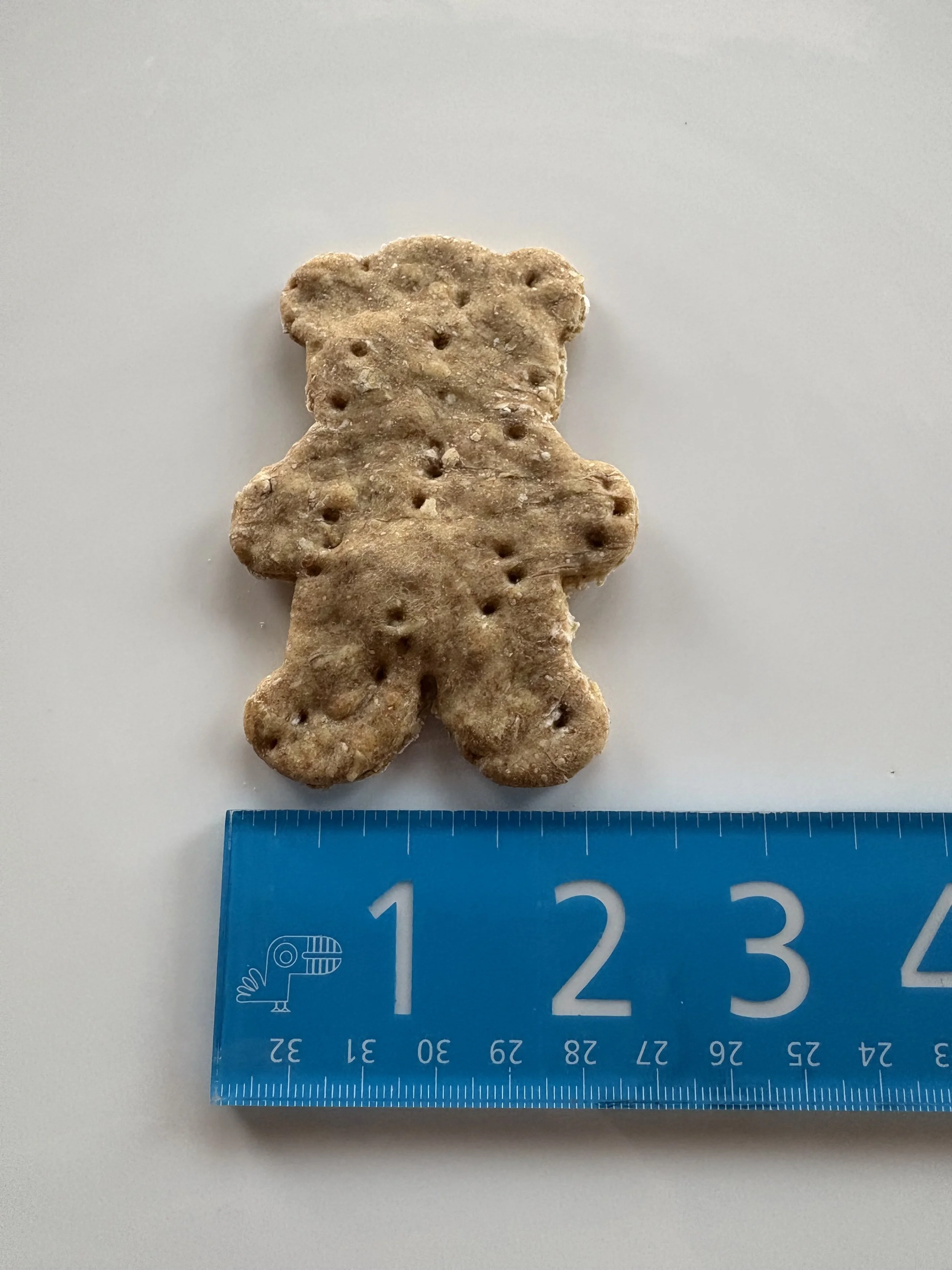 HoneyBearMeasuredWidth.jpg