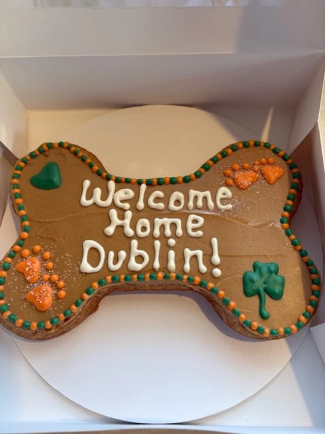 PhotoCakeDublin.jpg