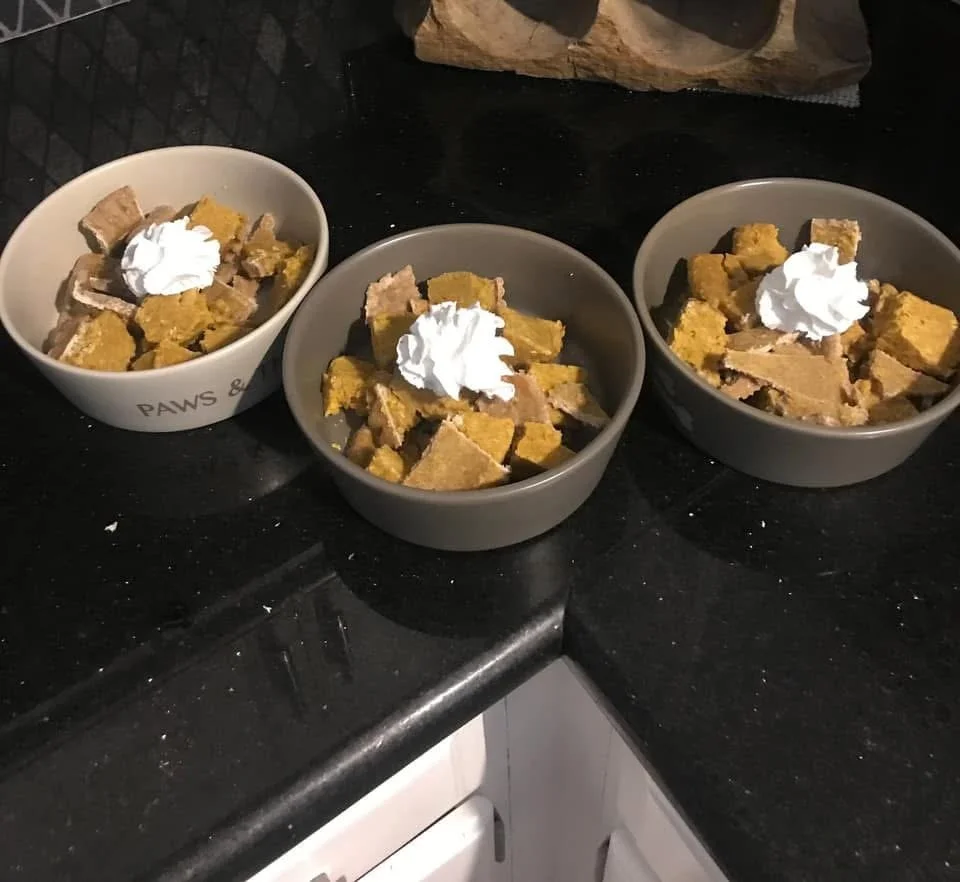 PumpkinPieInBowls.JPG