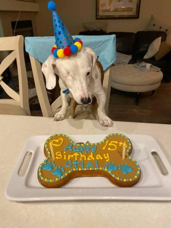 PhotoCakeOtis2.JPG