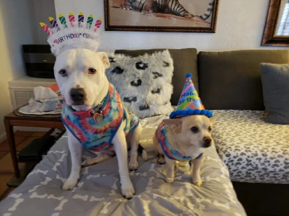 PhotoBirthdayPups.JPG