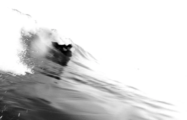 photo: Graeme Webster