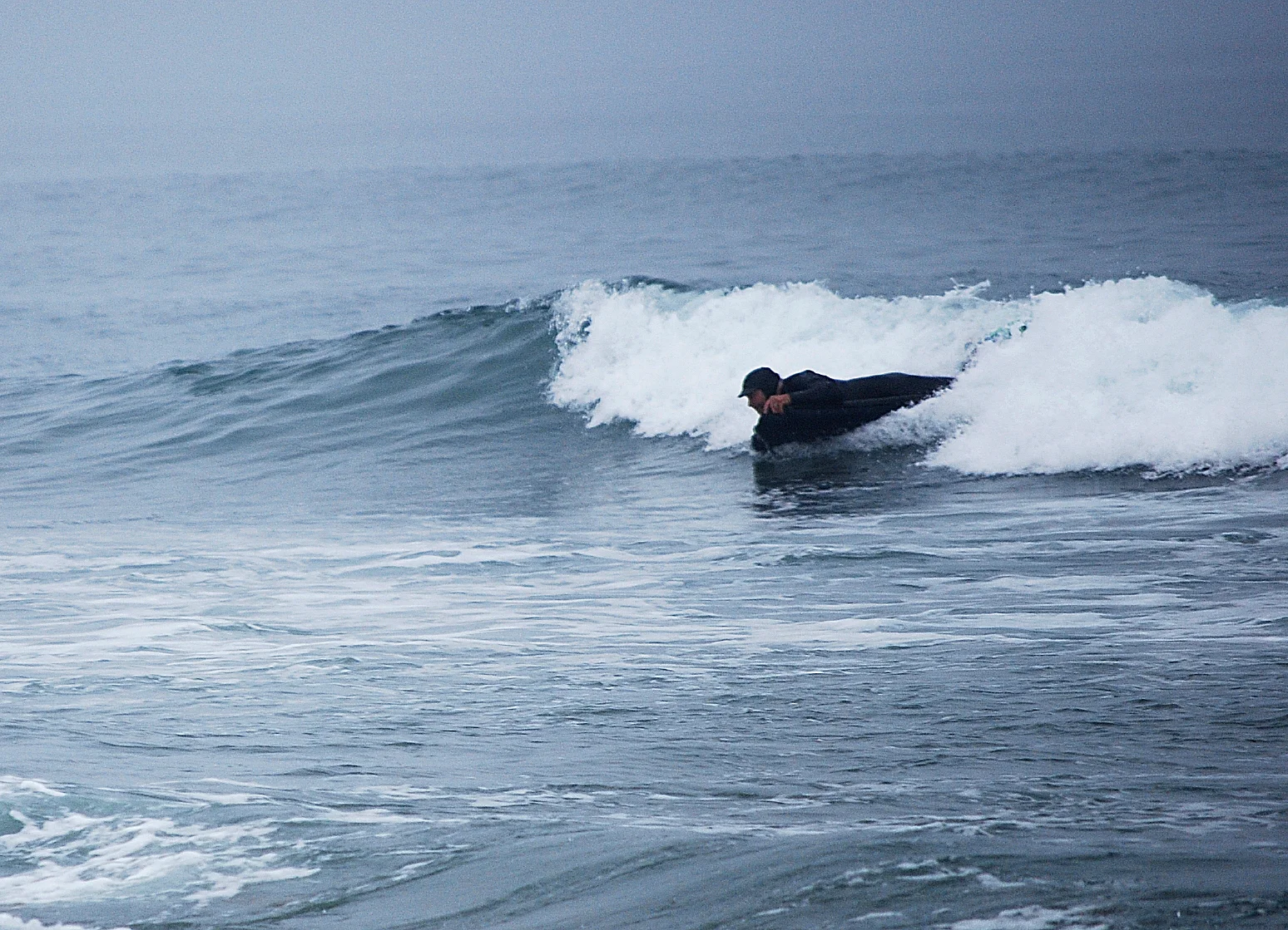 Photo: Terry Williams