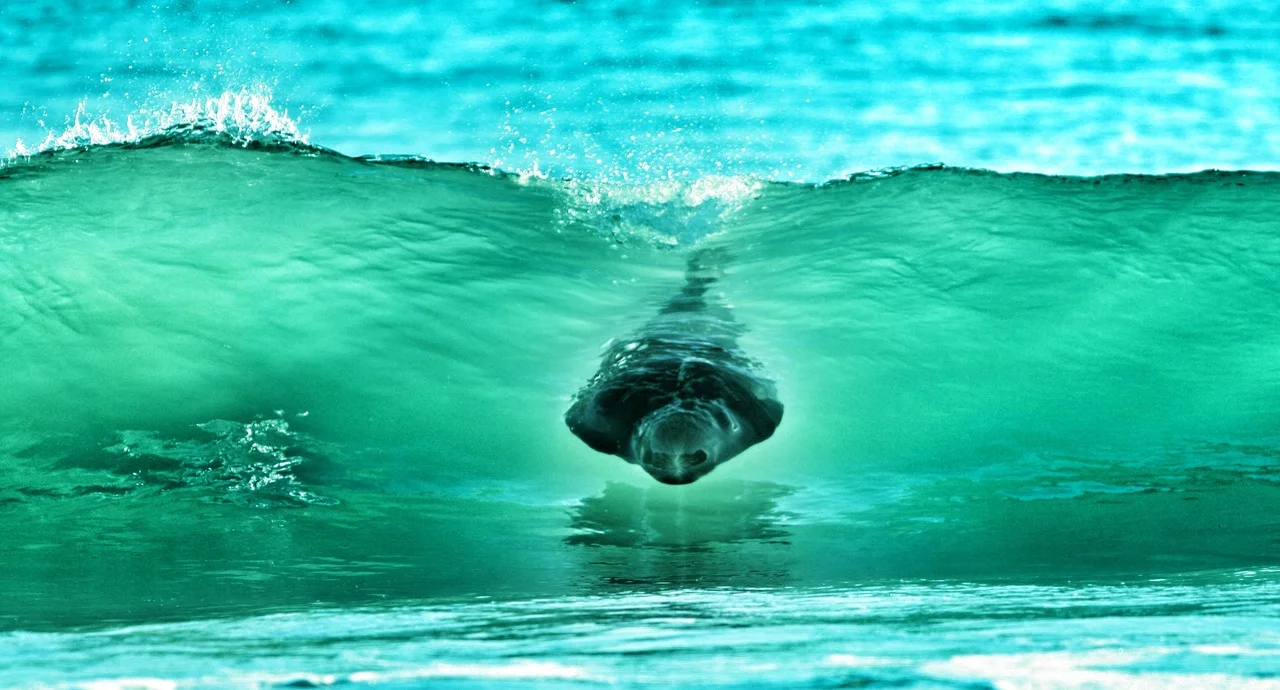 photo: Michael Cunningham