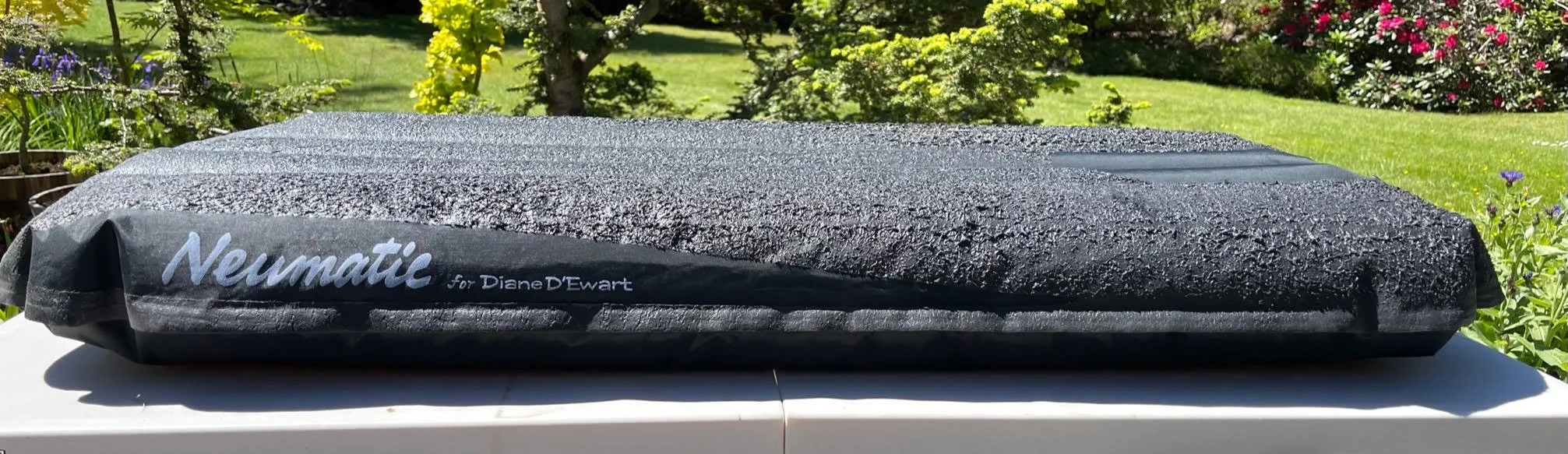 Remembering Dale Solomonson —