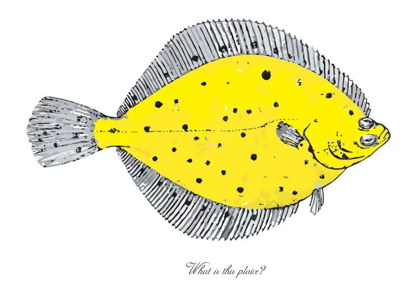 Pivot---Plaice-Setting.jpg