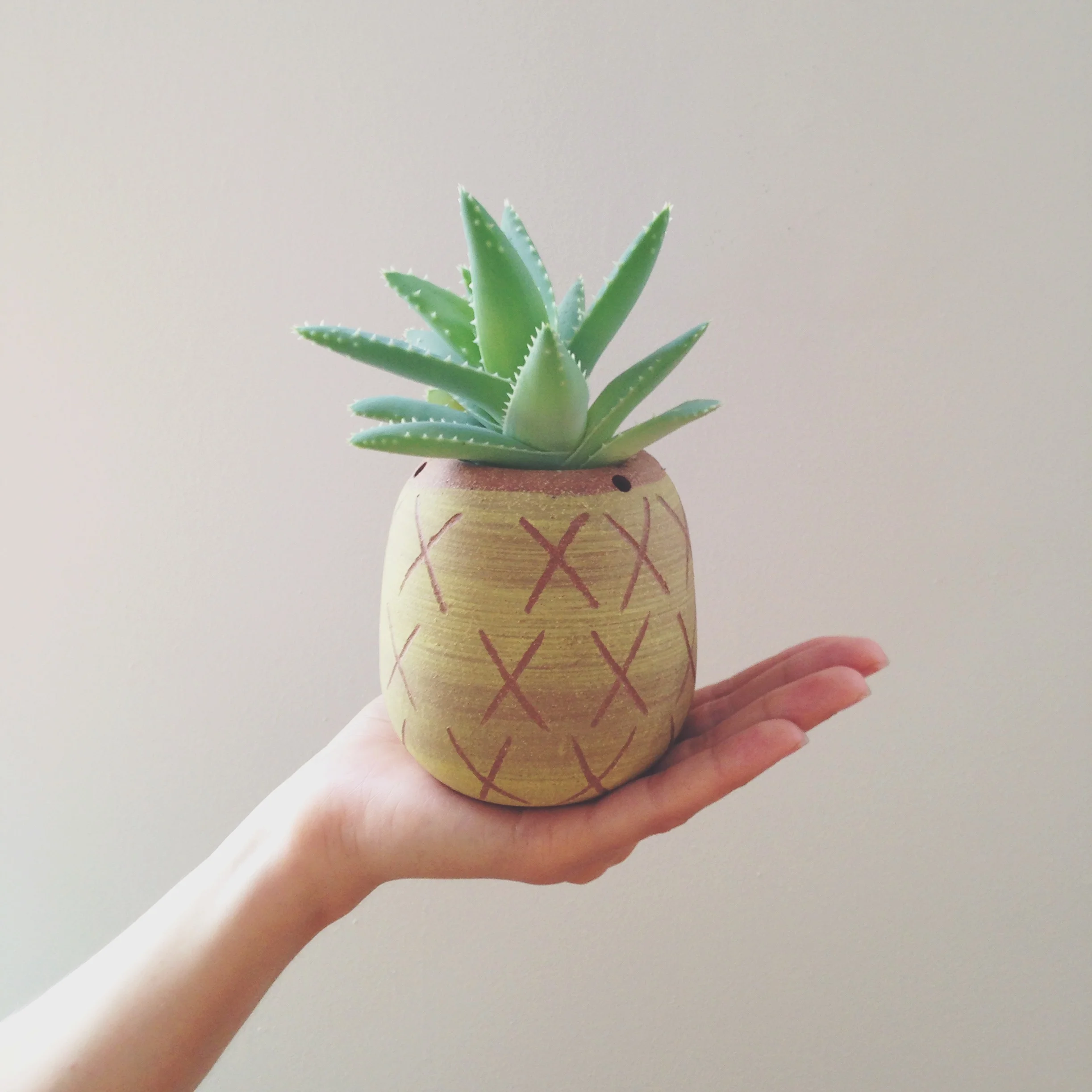 Mini pineapple planter