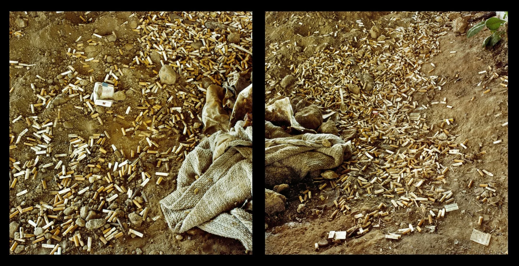 Anthony Hernandez, Landscapes for the Homeless #24 , 1990