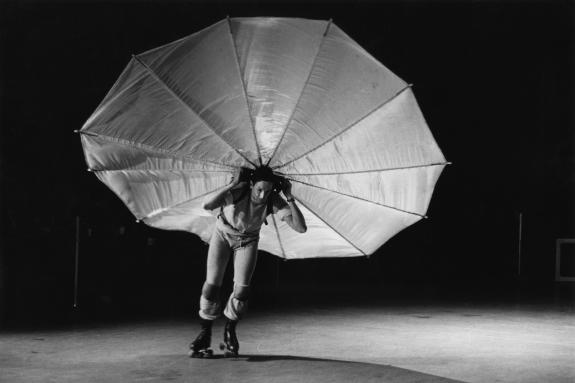 Robert Rauschenberg, Pelican , 1963