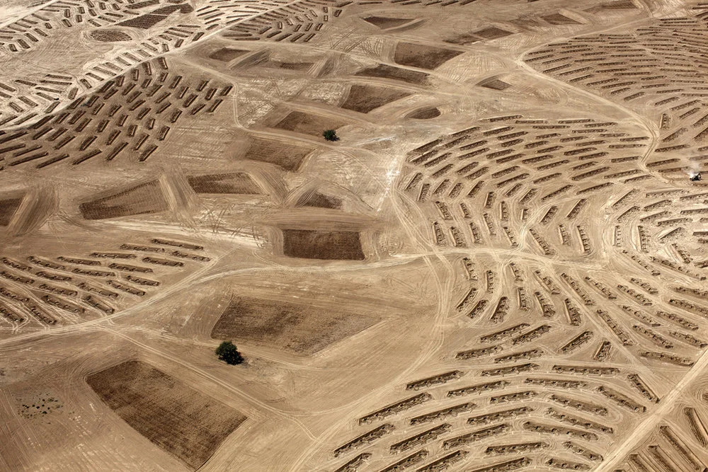 Fazal Sheikh, From the “Desert Bloom” series, 2011