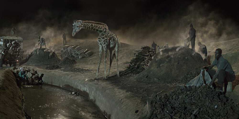  Charcoal Burning with Giraffe and Worker 