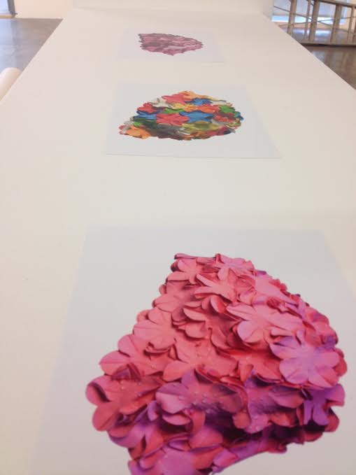These floral swim cap proofs were the prints being considered