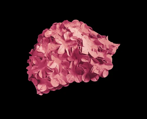 Pink Cap, Silkscreen, 2015