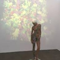  Tree with Leaves Video Installation, 2011 