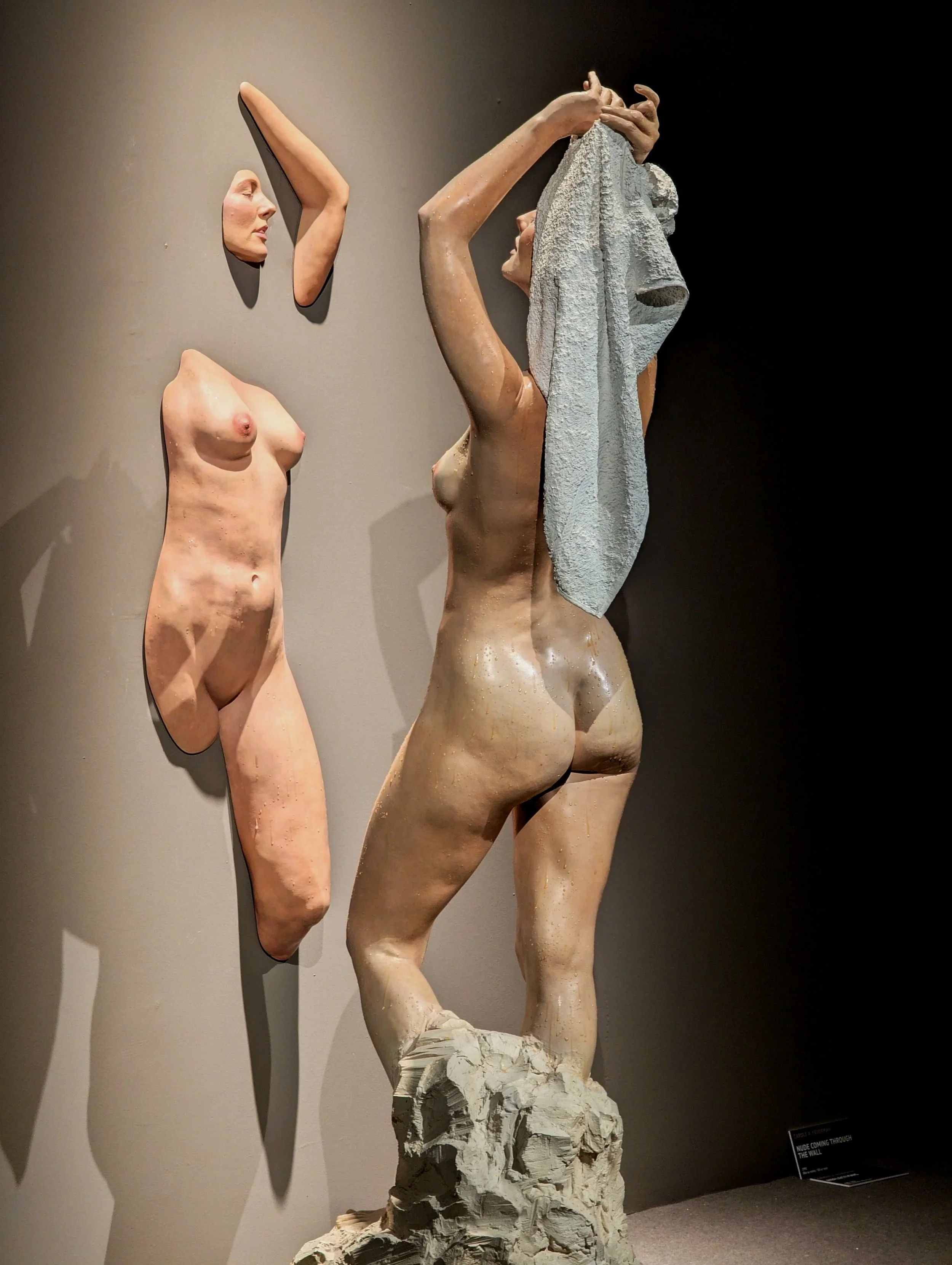 Nude Coming Through the Wall and Reflections