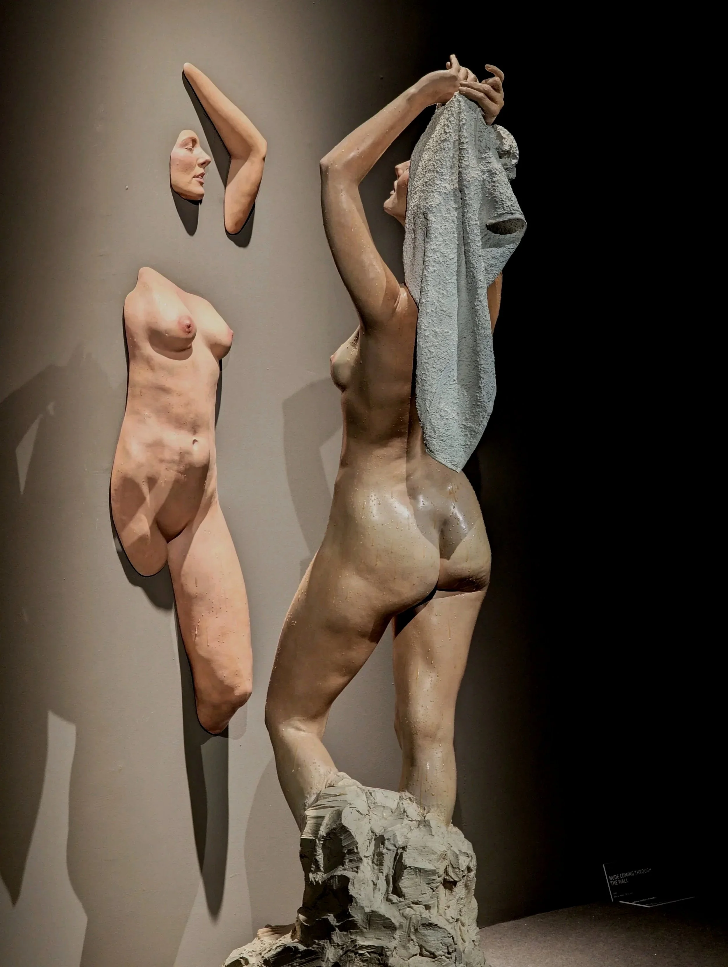 Nude Coming Through the Wall and Reflections

 

  Nude Coming Through the Wall,  1991, 58 × 15 × 15 in (147 × 38 × 13 cm), Oil on Resin   Reflections,  1985, 75 × 21 × 21 in (191 × 53 × 53 cm), Oil on Resin 