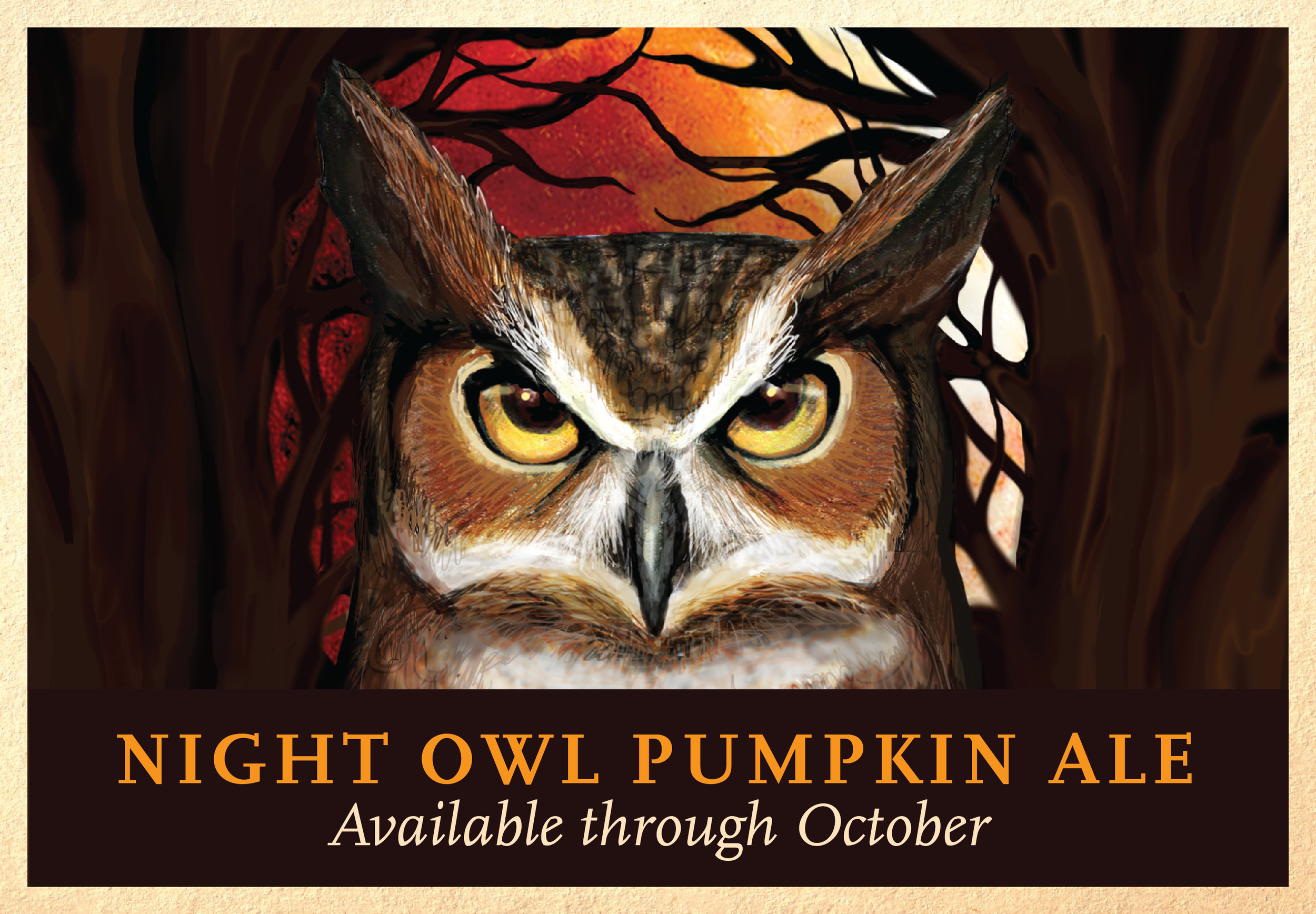 Slideshow_NightOwl-01-1.png