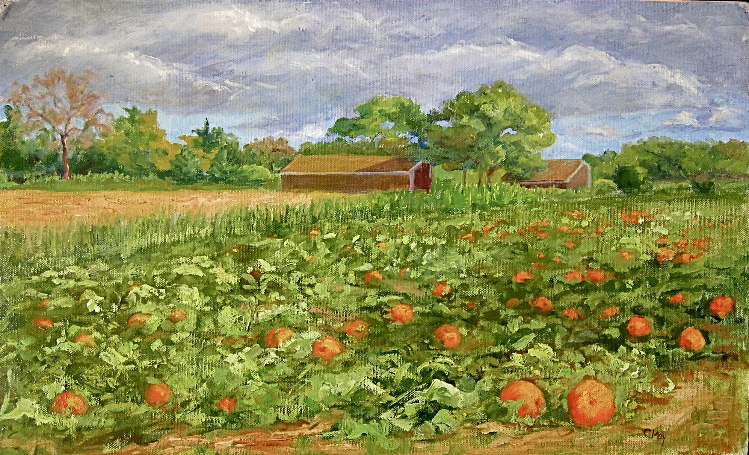 Pumpkin Field 11x18  Private Collection