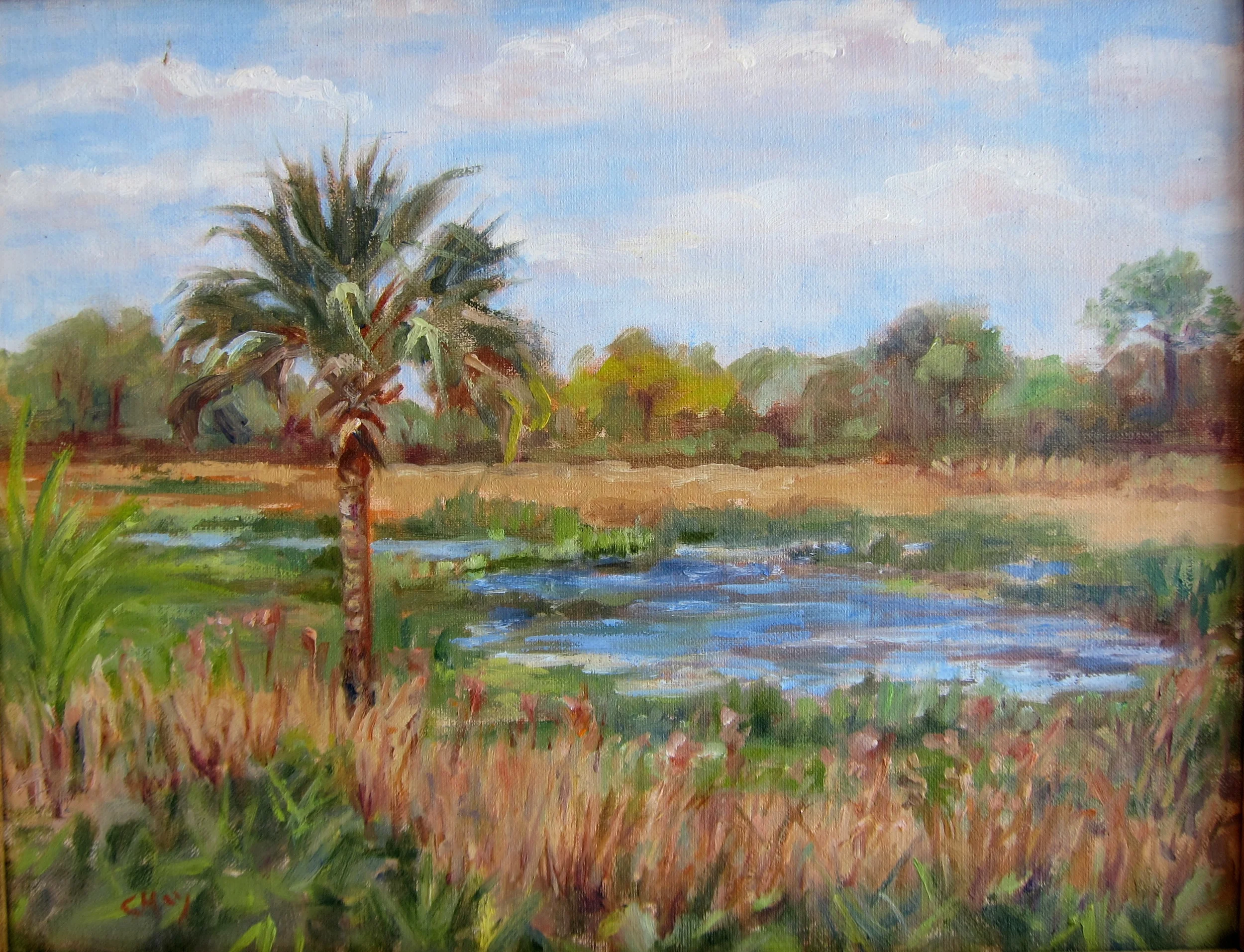 Florida Marsh 12x16 NFS