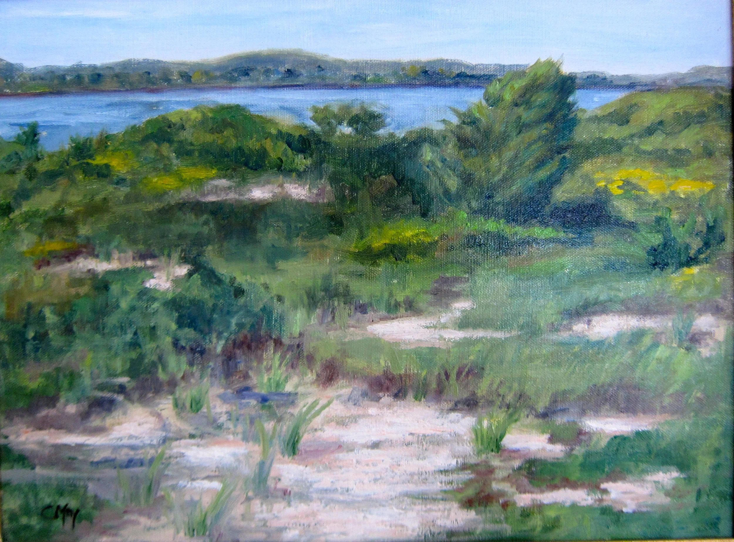 Summer Dunes 12x16 Private Collection