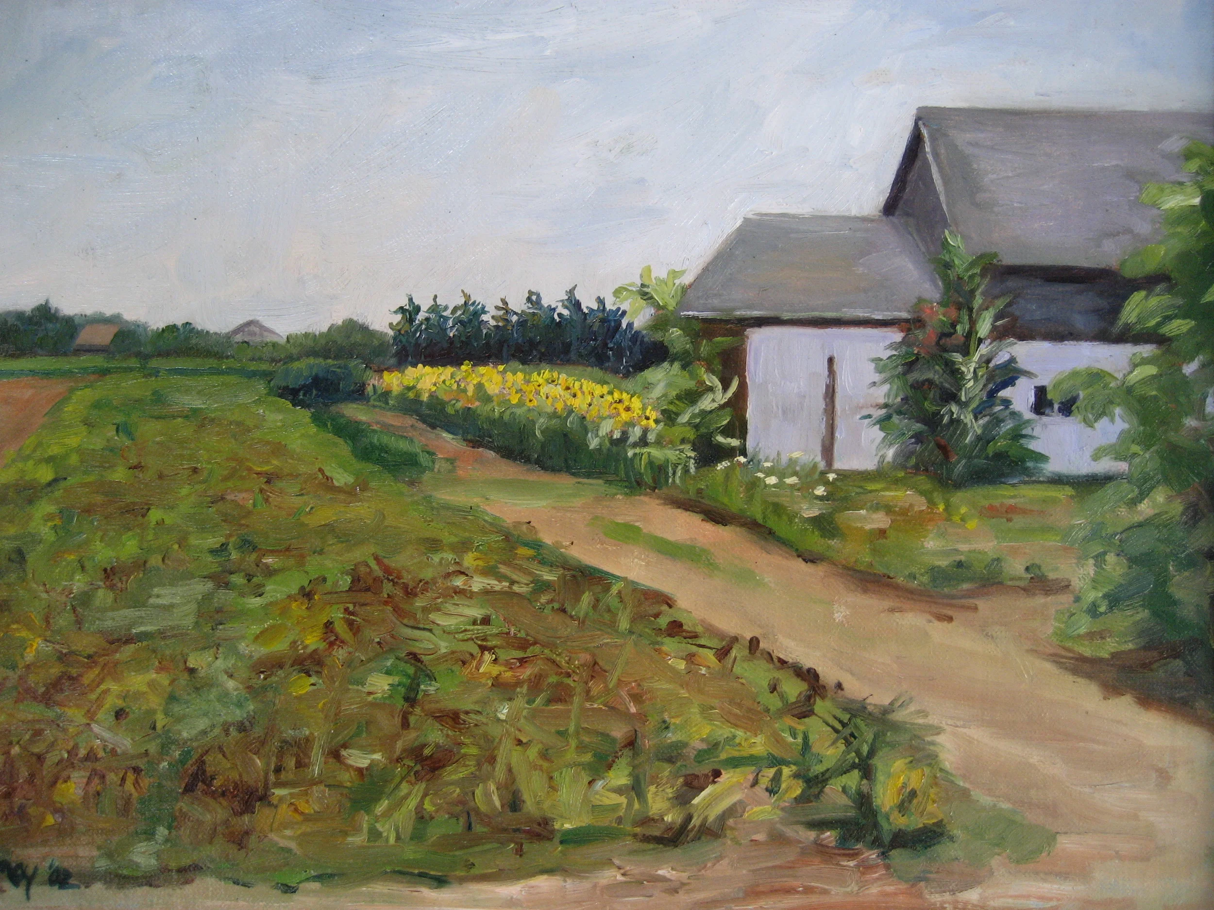 Sunflowers 11x14 Private Collection