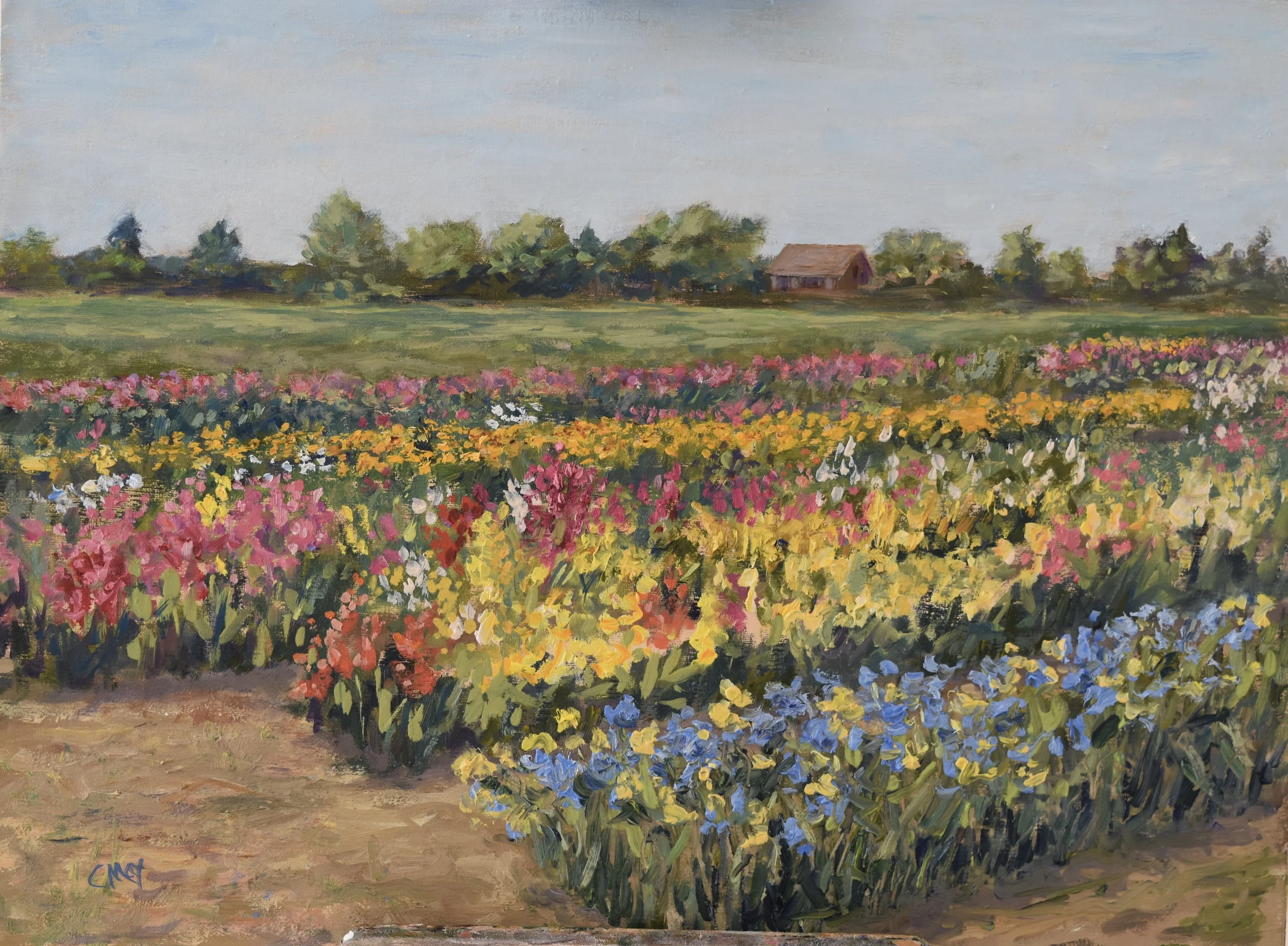 July 12x16 Private Collection