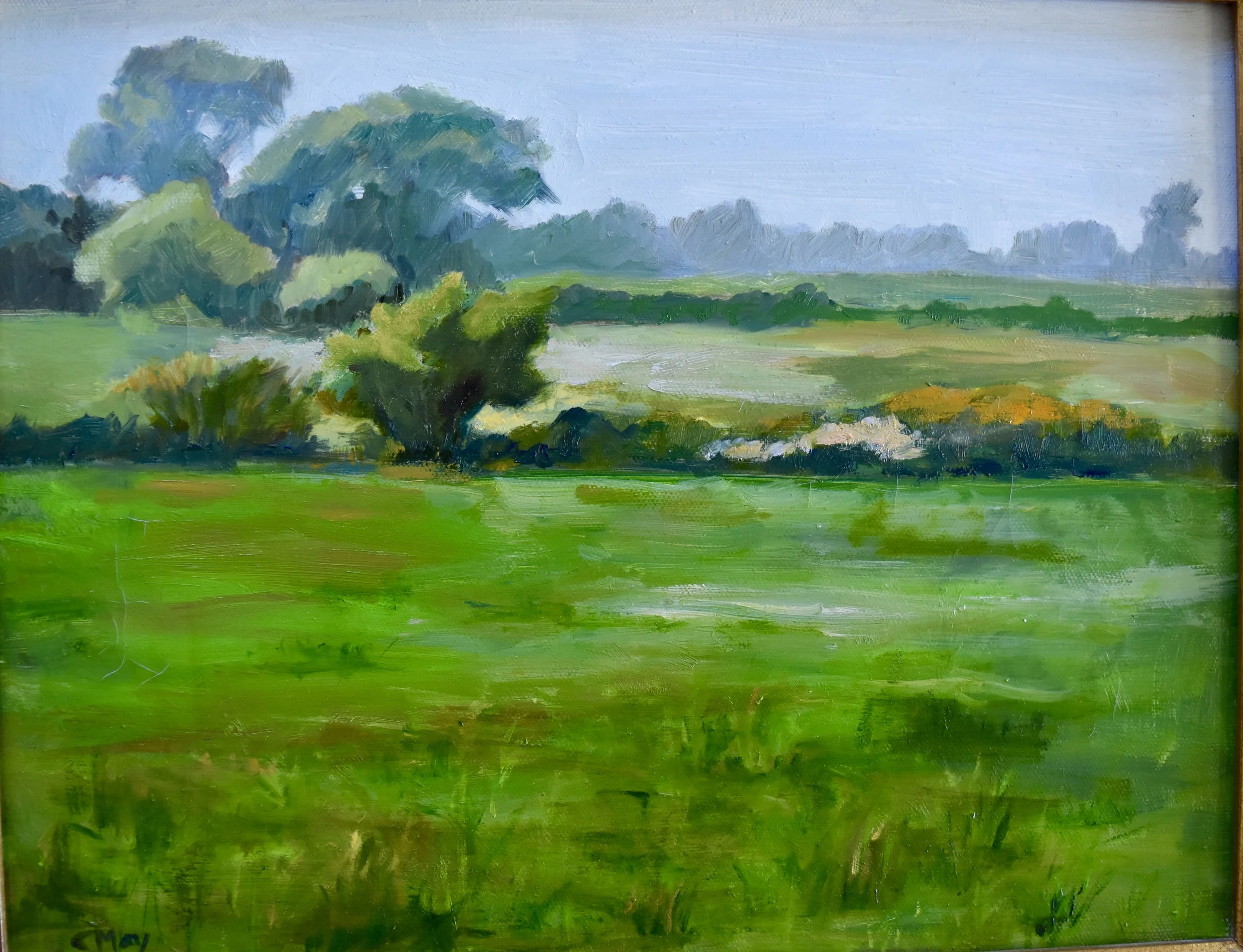 Foggy Day 11x14 $650